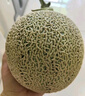 京鮮生蜜蜂授粉牛三蜜瓜網(wǎng)紋瓜 單果2斤起 凈重8-9斤 2-4粒裝源頭直發(fā) 曬單實(shí)拍圖