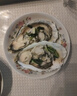 貝司令 鮮活乳山生蠔6XL 凈重4.5斤 6-8只 生鮮海鮮貝類(lèi) 源頭直發(fā) 曬單實(shí)拍圖
