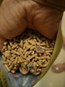 潔西（JESSIE）高品質(zhì)全價(jià)天竺鼠糧 專享版 荷蘭豬飼料荷蘭鼠糧食零食2.8kg 曬單實(shí)拍圖