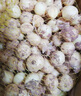 囧仙子新鮮苦藠小根團(tuán)蔥苦芥苦叫小蒜頭四川茭頭野蔥頭薤白 苦藠 大果 2斤 曬單實拍圖