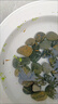 百綸木千觀(guān)背青鳉觀(guān)賞魚(yú)小型冷水魚(yú)食蚊魚(yú)不打氧吃蚊子魚(yú)新手好養耐活 隨機色1-1.5cm5條+1條備損 曬單實(shí)拍圖