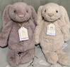Jellycat致臻害羞羅莎維洛邦尼兔動物毛絨玩偶安撫生日七夕情人節(jié)禮物 害羞羅莎邦尼兔 H31 X W12 CM 曬單實拍圖