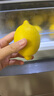 京鮮生 安岳黃檸檬16粒 單果95g-120g 生鮮水果 曬單實拍圖