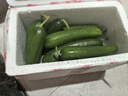 京鮮生 山東水果黃瓜 凈重3斤 單果90g+ 青瓜荷蘭瓜 源頭直發(fā) 曬單實拍圖