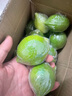 果園直發(fā)】正宗無(wú)籽廣東香水檸檬一級果【夏果】鴨屎香奶茶店專(zhuān)用 優(yōu)選一級果5斤【65克起】 曬單實(shí)拍圖