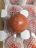 京鮮生 山東普羅旺斯番茄 凈重4.5斤 單果125g+ 沙瓤西紅柿 源頭直發(fā) 曬單實拍圖