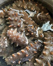 胖東來(lái)品質(zhì)淡干海參干貨遼參刺參漁村孕婦深海底播非即食正宗大連 20只裝 3-4厘米小刺參 曬單實(shí)拍圖