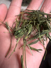 至鼎茶葉超市 安吉珍稀白茶2025新茶 明前春茶自己喝綠茶口糧茶500g 曬單實(shí)拍圖