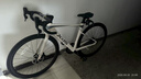 喜德盛（xds）xds ad300喜德盛ad300 25款公路車喜德盛公路車公路自行車喜德盛 2025款|白蛇 700Cx480mm|身高165-175cm 曬單實拍圖
