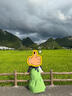 由香里【日本】衣物除皺劑防靜電噴霧襯衫裙子護(hù)理劑免熨燙衣物柔順留香 基礎(chǔ)裝 300ml*2瓶 2025新升級 曬單實拍圖