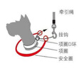 福萊希（flexi）德國進(jìn)口標(biāo)準(zhǔn)系列狗狗牽引繩自動(dòng)伸縮鏈繩狀狗繩S5米海軍藍(lán) 曬單實(shí)拍圖