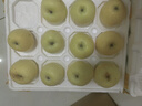 澤華果品山東煙臺棲霞奶油蘋(píng)果牛奶蘋(píng)果水果送禮團購源頭直發(fā)包郵 凈重4.5-5斤單果80mm+ 源頭直發(fā) 曬單實(shí)拍圖
