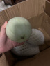 【熱賣(mài)】冰激淋玉菇甜瓜當季新鮮水果現摘現發(fā) 玉菇甜瓜中大果（單果≥800g）5斤凈重2200g 曬單實(shí)拍圖
