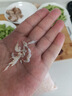 山東蝦皮 海鮮蝦米干 海產(chǎn)干貨煲湯煮粥涼拌 500g 曬單實(shí)拍圖
