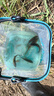 富源百川317二代綜合魚(yú)竿鯽魚(yú)竿鯉魚(yú)臺釣手桿釣魚(yú)桿碳素超輕超硬魚(yú)桿3.6m 曬單實(shí)拍圖