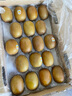 佳沛（zespri）新西蘭  陽(yáng)光金奇異果18粒超大果原箱單果重約173-204g 獼猴桃 曬單實(shí)拍圖