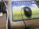 華碩（ASUS）【14代酷睿i7】臺式電腦主機臺式機獨顯商用辦公家用游戲電腦全套 A：辦公酷睿i5丨16G丨756G丨核顯 主機+24英寸【超清護眼顯示器】 曬單實拍圖