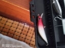 熊火路亞餌鎢鴉GT沉水鉛筆定鉛超遠投翹嘴鱸魚(yú)鳡魚(yú)毒牙顫沉假餌 10g 【鎢鴉GT沉水鉛筆】5只裝 曬單實(shí)拍圖