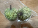 新鮮大目釋迦果番荔枝林檎大果佛頭果應季熱帶水果 1斤大目釋迦果（單果250g以上） 曬單實(shí)拍圖
