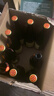 雪花啤酒【50萬+人已購】經(jīng)典沈陽老雪 640ml*12瓶經(jīng)典醇厚高度數(shù) 曬單實拍圖