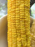 京鮮生云南水果玉米5斤 鮮甜玉米棒 甜脆多汁 新鮮蔬菜 源頭直發(fā)包郵 曬單實拍圖
