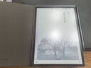 科大訊飛智能辦公本Air 2 8.2英寸電子書(shū)墨水屏平板電腦 手寫筆記本 語(yǔ)音轉(zhuǎn)文字電紙書(shū) 國(guó)家補(bǔ)貼 曬單實(shí)拍圖