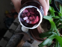 FOOLEX 藍(lán)莓葉黃素兒童青少年眼睛干澀疲勞中老年90粒大容量 曬單實(shí)拍圖