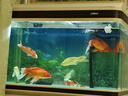 森森（SUNSUN） 魚缸過濾棉加厚生化棉水族箱過濾器白棉過濾材料 3米長*12cm寬*2cm厚 曬單實(shí)拍圖