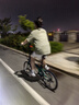 大行（DAHON）D6折疊自行車(chē)20英寸6速入門(mén)級折疊車(chē)成人學(xué)生通勤休閑單車(chē)KBC061 墨綠色 曬單實(shí)拍圖