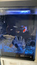 米家智能桌面魚(yú)缸小米生態(tài)魚(yú)缸小型智能專業(yè)背濾一體缸自循環(huán) 曬單實(shí)拍圖
