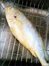 鴻順【冰鮮】黃花魚4條4斤 生鮮魚類 寧德大黃魚 地標產(chǎn)品 源頭直發(fā) 曬單實拍圖