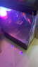 五色魚(yú)13代酷睿i5-13400F 16G 512G固態(tài) 4G獨(dú)顯 辦公商用家用游戲臺(tái)式電腦臺(tái)式機(jī)電腦主機(jī)全套整機(jī) 曬單實(shí)拍圖