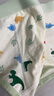 棉奇熊男童內(nèi)褲兒童棉質(zhì)平角褲男孩四角短褲4條男寶寶不夾PP中大童底褲 恐龍樂園-10A抗菌 A類純棉- 4條 120 -身高110-125cm 體重35-45斤 曬單實(shí)拍圖