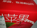京地達(dá)陜西洛川紅富士蘋(píng)果 凈重8.5斤單果210g＋脆甜 新鮮水果 源頭直發(fā) 曬單實(shí)拍圖