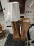 植男植女天堂鳥盆栽客廳室內(nèi)好養(yǎng)大型落地真綠植辦公室植物鶴望蘭源頭直發(fā) 曬單實拍圖