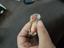 新鮮帶殼花生濕花生現(xiàn)挖現(xiàn)發(fā)應(yīng)季花生水煮鮮花生 新鮮花生5斤裝 曬單實(shí)拍圖