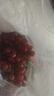 現(xiàn)摘云南新鮮克倫生無籽提紅提葡萄生鮮提子水果肉多多禮盒 克倫生無籽提3斤/箱(凈重) 曬單實拍圖