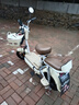 飛鴿 FG FLYING PIGEON電動車新款女生小型輕便新國標(biāo)電動自行車成人代步通勤長續(xù)航電單車兩輪電瓶車 奶油白【全國聯(lián)保/智能快充/終身保障】 【鉛酸】12A天能/超威-助力續(xù)航80公里 曬單實拍圖