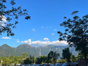 YOFOODII優(yōu)弗迪 紅顏鐵女性補(bǔ)鐵劑補(bǔ)氣血經(jīng)期孕婦哺乳期貧血 14條*12ml/盒 曬單實(shí)拍圖