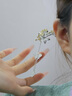 老鳳祥月桂花銀發(fā)簪女士古風(fēng)國潮蝴蝶流蘇頭飾情人節禮物送女友女生老婆 月桂花蝴蝶流蘇發(fā)簪 曬單實(shí)拍圖