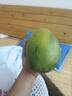 【新鮮上市】正宗攀枝花凱特芒果新鮮水果 帶箱2斤200g+ 曬單實拍圖
