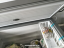 美的（Midea）冰柜300升以上大容量商用冰柜單溫臥式家用冰柜小型茶葉柜冷藏柜冷凍柜超低溫-40度深冷速凍柜 300升 升級凈味抑菌 一級能效 -30℃ 曬單實拍圖