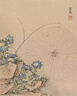 蒙豚 慢養(yǎng)黑豬 肋排1斤 (含肋軟骨)排骨豬骨 豬骨龍骨 土豬肉 生鮮 曬單實拍圖