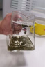 泥也玻璃茶壺泡綠茶專用茶具月牙過濾公道杯泡茶杯茶水壺濾茶專用杯子 曬單實拍圖