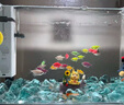 添悅新款側濾魚(yú)缸客廳金魚(yú)缸自循環(huán)帶蓋桌面斗魚(yú)缸家用增氧小型一體缸 E-60缸【標配版】 曬單實(shí)拍圖