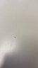 京東京造 保溫飯盒 保溫桶上班族304不銹鋼小學(xué)生帶蓋餐盒三層2L 配保溫袋 曬單實拍圖