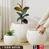 LZJV鎂泥特大號花盆奶油風(fēng)半圓輕奢感花盆大號黑金剛橡皮樹(shù)百合竹家 白色加點(diǎn) 32*32*25cm (外徑*高) 曬單實(shí)拍圖