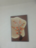柿柿如意裝飾畫(huà)客廳沙發(fā)背景墻壁畫(huà)入戶(hù)玄關(guān)畫(huà)寓意好走廊過(guò)道掛畫(huà) 柿柿如意A a50*70cm 【噴繪 油畫(huà)布】啞光效 曬單實(shí)拍圖