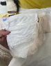蘇菲早安褲早安日魔術(shù)貼日用安心褲M碼5條透氣衛(wèi)生巾日安褲自營 曬單實(shí)拍圖