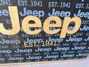 Jeep吉普折疊自行車(chē)山地車(chē)20英寸7速雙碟剎男女車(chē)學(xué)生變速單車(chē)-一體輪 曬單實(shí)拍圖